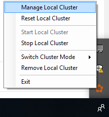 Opening the Local Cluster Manager